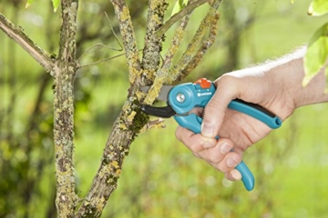 gardena-gartenschere-a-s-stabile-rebenschere-mit-amboss-schneide-fuer-aelteres-und-trockenes-holz-bis-18-mm-durchmesser-mit-zwei-griffpositionen-und-ergonomischen-griffen-8855-20-2