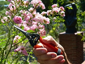 Garten Primus Gartenschere, Rosenschere, Rebschere, Floristenschere, Wunderschere, orange/silber, 18,1 x 4,9 x 1,8 cm, 01040 - 3