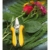 gruentek-rosen-pflanzenschere-colibri-170-mm-edelstahlklingen-mit-zink-legierung-blumenschere-mit-soft-touch-ergo-griff-gartenschere-rosenschere-trimmerschere-bypass-7