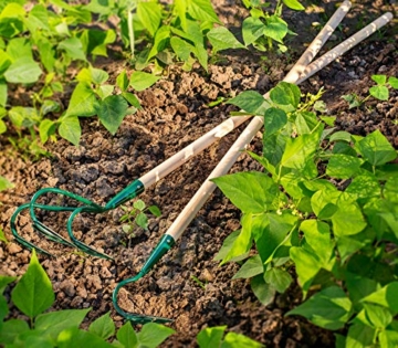 kadax-grubber-gartenkralle-gartenhacke-zum-lockern-des-bodens-kultivator-fuer-garten-handgrubber-aus-metall-blumenkralle-gartenzubehoer-blumenharke-bodenluefter-1-zinken-mit-holzstiel-6