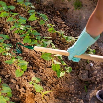 kadax-grubber-gartenkralle-gartenhacke-zum-lockern-des-bodens-kultivator-fuer-garten-handgrubber-aus-metall-blumenkralle-gartenzubehoer-blumenharke-bodenluefter-1-zinken-mit-holzstiel-6