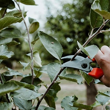 original-loewe-14-gartenschere-rosenschere-14-107-mit-scharfen-stahlklingen-aus-carbon-leichte-bypass-schere-mit-antihaftbeschichtung-zum-schneiden-fuer-rosenbuesche-rosenzweige-aeste-schnittblumen