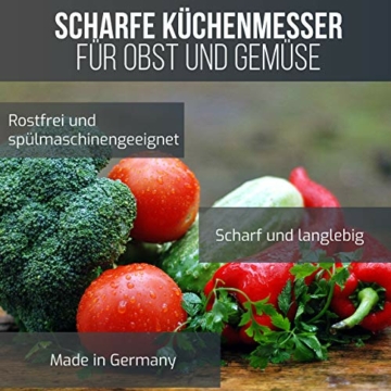 schwertkrone-schaelmesser-set-solingen-2-obstmesser-gemuesemesser-floristenmesser-bandstahl-rostfrei-rot-2-stueck-3