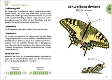 anaconda-taschenfuehrer-insekten-70-arten-entdecken-und-bestimmen-3