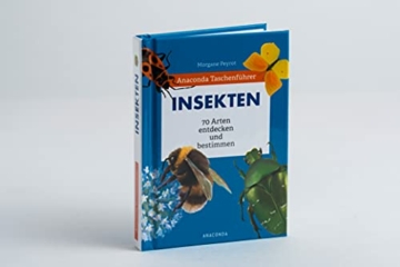 anaconda-taschenfuehrer-insekten-70-arten-entdecken-und-bestimmen-5