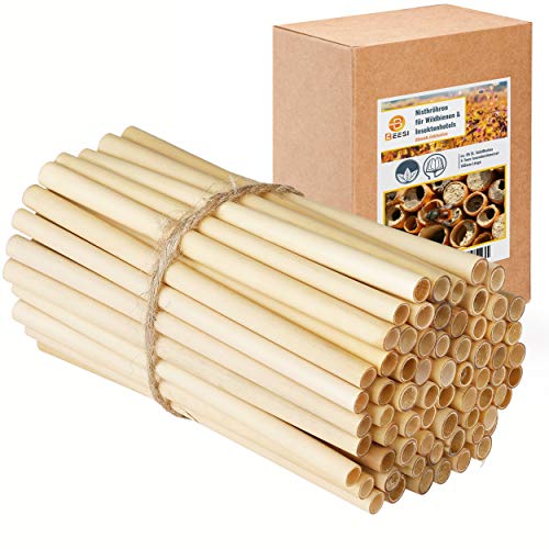 wie schmeckt bambus Holzbrett "schmeckt und seht"  Bibelvers Gravur  verschiedene Gren