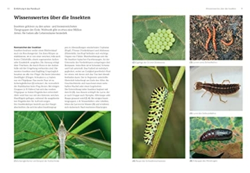 das-grosse-blv-handbuch-insekten-ueber-1360-heimische-arten-3640-fotos-natur-3