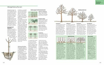 das-grosse-gu-gartenbuch-das-standardwerk-fuer-jeden-gartenliebhaber-gu-gartenspass-5