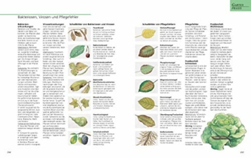 das-grosse-gu-gartenbuch-das-standardwerk-fuer-jeden-gartenliebhaber-gu-gartenspass-6