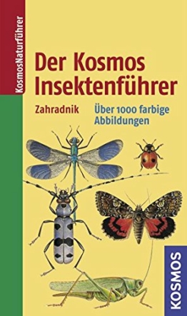 der-kosmos-insektenfuehrer-kosmos-natur-klassiker-1