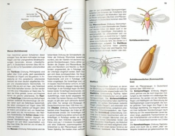 der-neue-kosmos-insektenfuehrer-extra-die-wichtigsten-spinnentiere-2