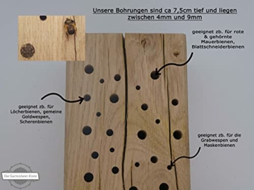 die-gartenbeet-kiste-bienenhotel-stamm-insektenhotel-wildbienen-eiche-massivholz-hartholz-wildbienenhotel-nisthilfe-bienen-30-cm-4