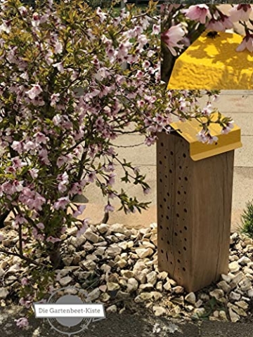 die-gartenbeet-kiste-bienenhotel-stamm-insektenhotel-wildbienen-eiche-massivholz-hartholz-wildbienenhotel-nisthilfe-bienen-30-cm-5