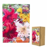 echte-lilienzwiebeln-in-verschiedenen-farben-blumenzwiebeln-in-geschenkverpackung-mehrjaehrig-gartenpflanzen-winterhart-knollen-lilium-lilien-hohe-qualitaet-20-lilien-tiger-mix-1