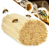 ekkong-300-stk-nisthuelsen-fuer-insektenhotel-14-5-cm-lang-durchmesser-3-5-mm-nisthuelsen-fuer-wildbienen-insektenhotel-fuellmaterial-weizenhalme-fuellung-fuer-wildbienenhotel-bienenhotel-nisthilf