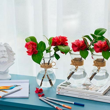 klarglasvasen-fuer-blumen-mit-schnurseil-3-teilige-gluehbirnenhyazinthenvasen-bud-avocado-vase-edelwickenvase-fuer-hydroponikpflanzen-narzissen-orchideen-fuer-desktop-tisch-innenfensterbank-dekor-3