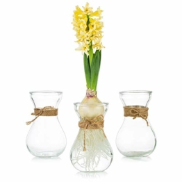 klarglasvasen-fuer-blumen-mit-schnurseil-3-teilige-gluehbirnenhyazinthenvasen-bud-avocado-vase-edelwickenvase-fuer-hydroponikpflanzen-narzissen-orchideen-fuer-desktop-tisch-innenfensterbank-dekor-1