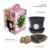 plant-bloom-calla-captain-samba-grow-kit-1-calla-tuber-zuechte-deine-eigenen-rosa-blumen-fuer-den-innenbereich-niederlaendische-qualitaet-3