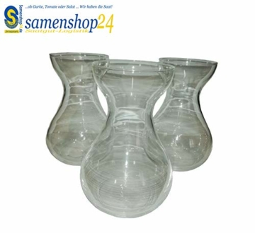 samenshop24-hyazinthenglaeser-klar-3-stueck-ideal-fuer-praeparierte-hyazinthen-vase-fuer-schnittblumen-deko-premium-qualtitaet-2