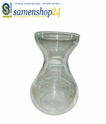 samenshop24-hyazinthenglas-klar-1-stueck-ideal-fuer-praeparierte-hyazinthen-vase-fuer-schnittblumen-deko-premium-qualltitaet-2