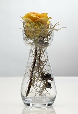 sandra-rich-6x-glasvase-hyacinth-hyazinthenglas-vase-glas-blumenvase-tischvase-17-cm-1