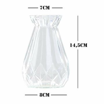 toruiwa-4x-hyazinthe-glasvasehyazinthenglasmhyazinthen-glastransparent-blueten-vasenfuer-sukkulenten-luftanlagen-pflanzen-dekoration145x8cmwbrg-2