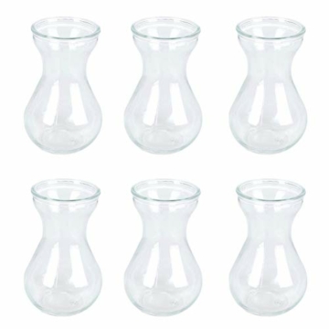 toruiwa-hyazinthe-glasvase-hydrokultur-glas-vase-blueten-vasen-fuer-hyazinthe-sukkulenten-luftanlagen-pflanzen-dekoration-14-5-6-5-7-5cm-transparent-6-stueck-1