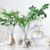 toruiwa-hyazinthe-glasvase-hydrokultur-glas-vase-blueten-vasen-fuer-hyazinthe-sukkulenten-luftanlagen-pflanzen-dekoration-14-5-6-5-7-5cm-transparent-6-stueck-5