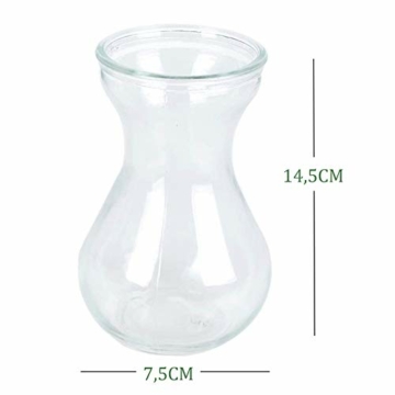 toruiwa-hyazinthe-glasvase-hydrokultur-glas-vase-blueten-vasen-fuer-hyazinthe-sukkulenten-luftanlagen-pflanzen-dekoration-14-5-6-5-7-5cm-transparent-6-stueck-8