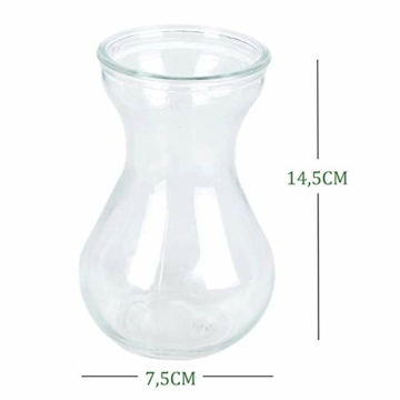 toruiwa-hyazinthe-glasvase-hydrokultur-glas-vase-blueten-vasen-fuer-hyazinthe-sukkulenten-luftanlagen-pflanzen-dekoration-14-5-6-5-7-5cm-transparent-6-stueck-8