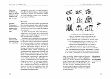 das-insektenhotel-naturschutz-erleben-bauanleitungen-tierportraets-gartentipps-6