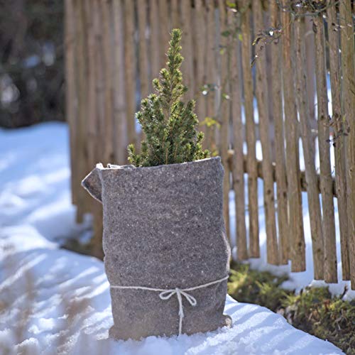 GIONAR Winterschutzmatte Für Pflanzen 2x 40x120cm - Frostschutz Für Topfpflanzen Mit Juteschnur